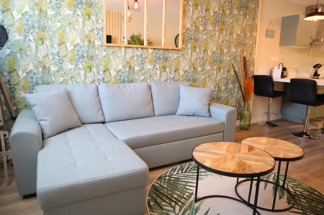 Appartement 1 Chambre Ambiance Tropicale - Centre De Bourbourg, Terrasse Privee Dış mekan fotoğraf